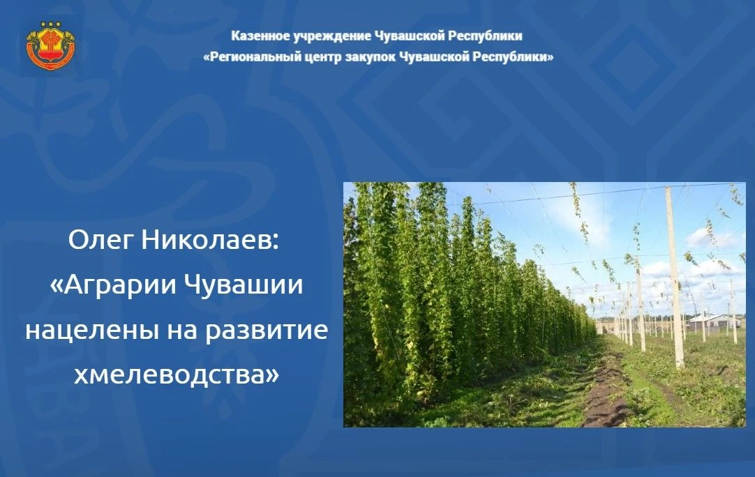 🤝Чувашский аграрный колледж заключил договоры  на поставку хмелевых опор на площади 10...
