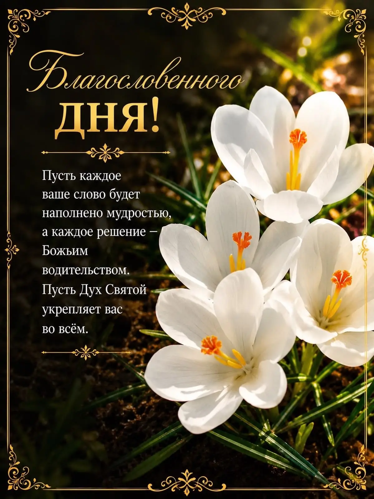 Мои открытки