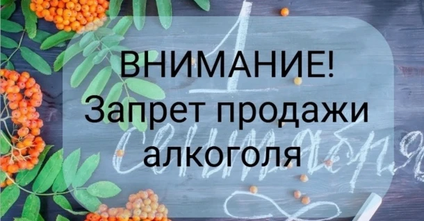 В городе Тынде 1 сентября 2026 вводится запрет розничной продажи алкогольной продукции
