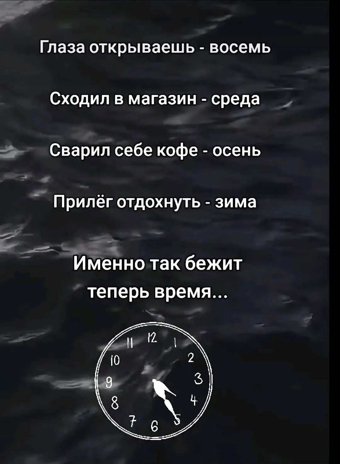 Цитаты 😉