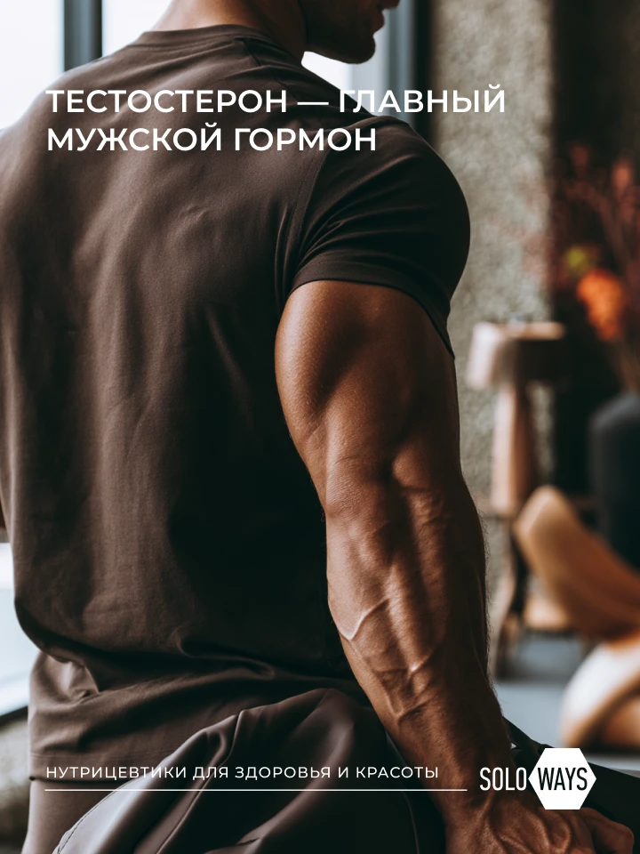 Как поддержать тестостерон – главный мужской гормон