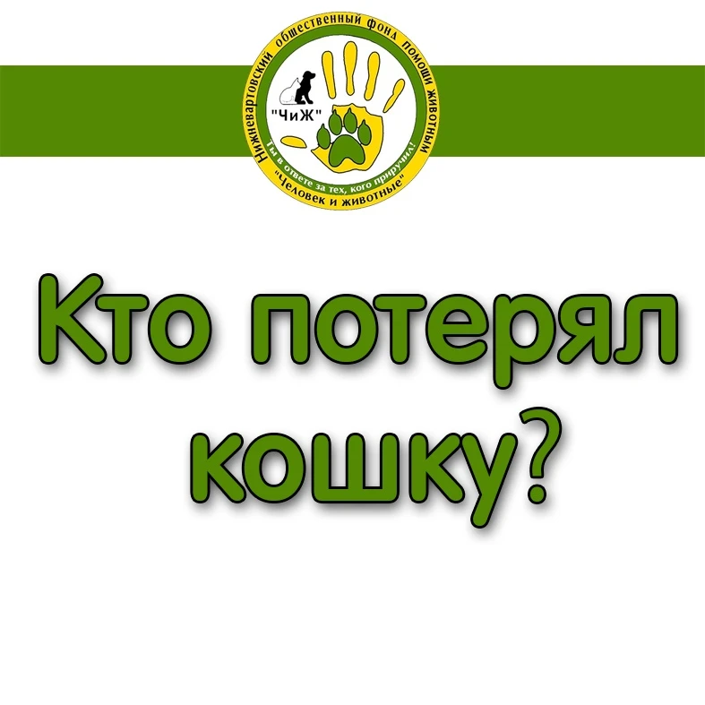КТО ТЕРЯЛ ХВОСТИК?
СРОЧНО НУЖНО ПОЙМАТЬ И ПЕРЕДЕРЖКА ДО УСТРОЙСТВА! 
https://vk.ru/id140570077
На Ин