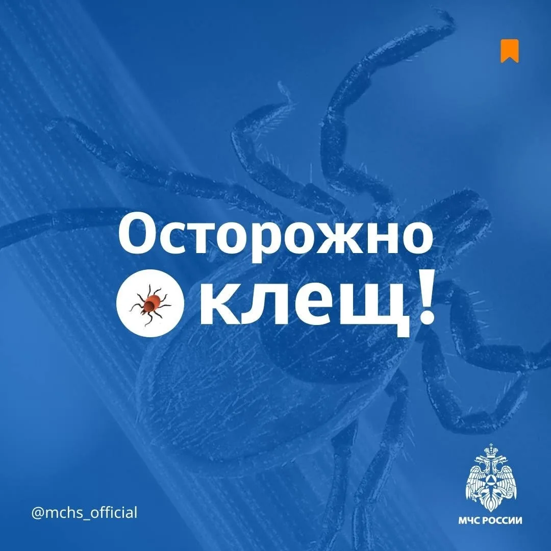 Чтобы не встретиться с клещом: