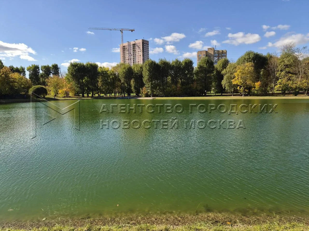 💧 Пруд в Зюзино преобразился после реабилитации