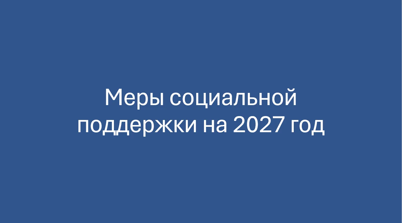 Выбор меры социальной поддержки на 2027 год.