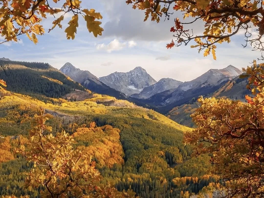 🍁 С добрым утром