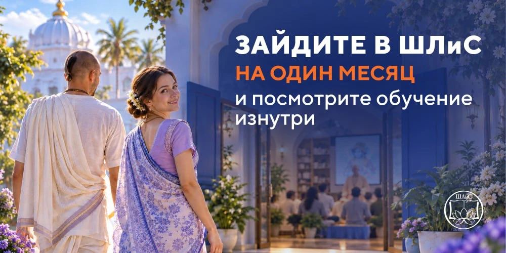 ❗️️ ЗАЙДИТЕ В ШЛиС НА ОДИН МЕСЯЦ И ПОСМОТРИТЕ ОБУЧЕНИЕ ИЗНУТРИ
