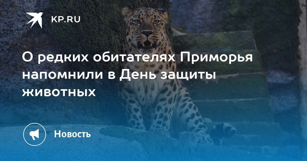 Во Всемирный день защиты животных минприроды Приморья рассказало о редких обитателях края