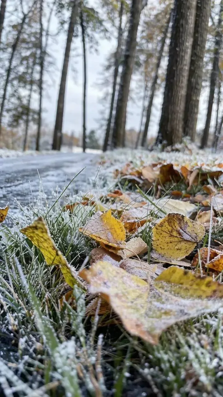 ❄️ Ночью в Татарстане до -2°С — дороги готовят сюрприз