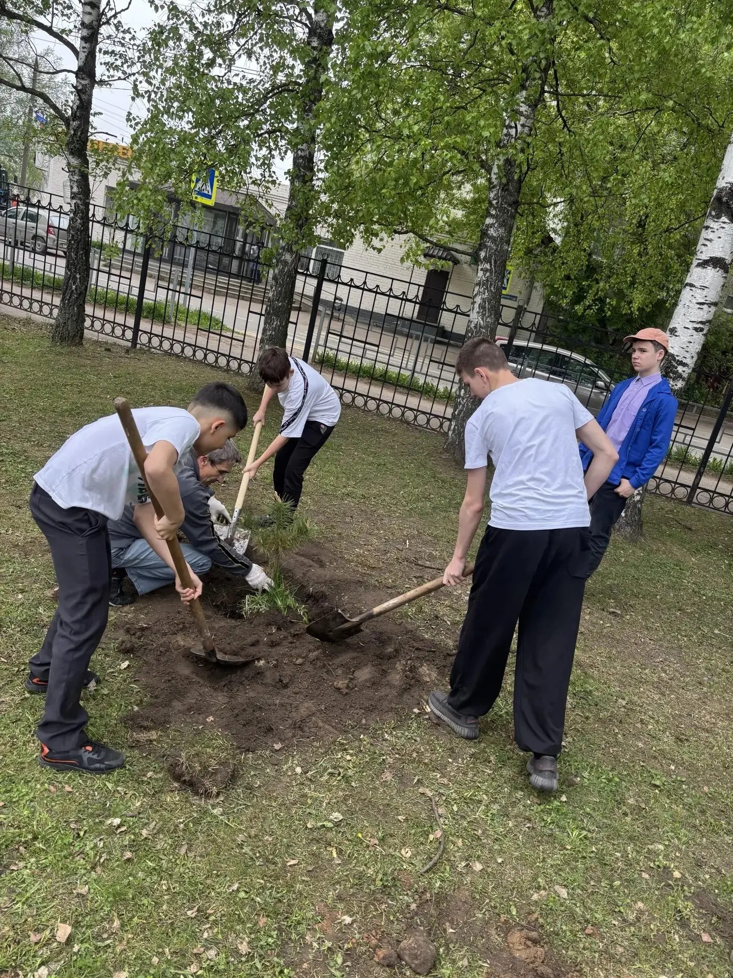 🌱 Зелёная весна в нашей гимназии — не просто слова, а реальные дела! 🌱    Ура! Мы не сидели сложа ру