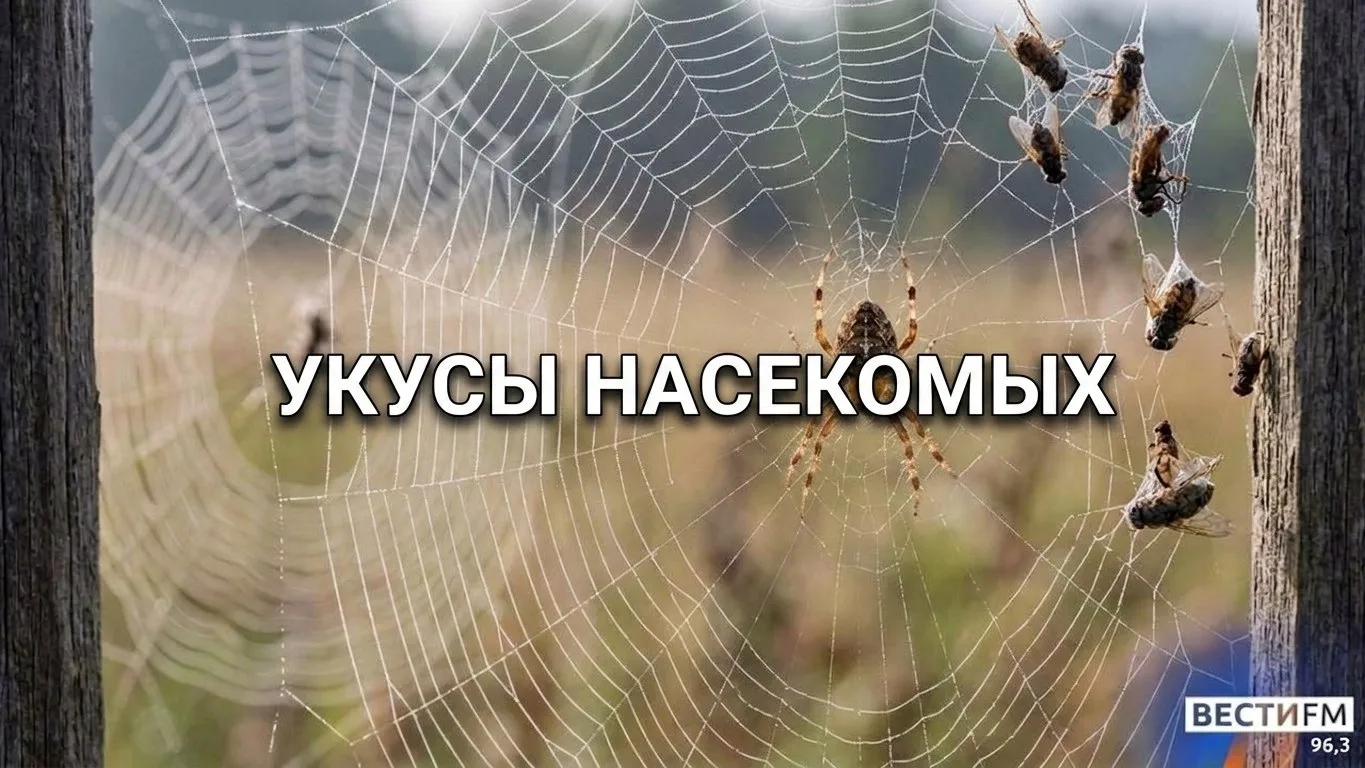 58-летний екатеринбуржец встретил паука на своем балконе. После укуса у мужчины быстро ...