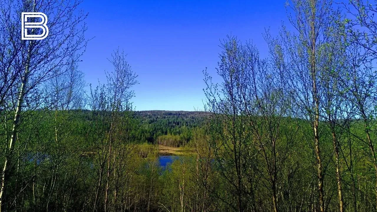 ☀️По данным мурманского гидрометцентра, 18 июня в Кольском Заполярье ожидается облачная с прояснения