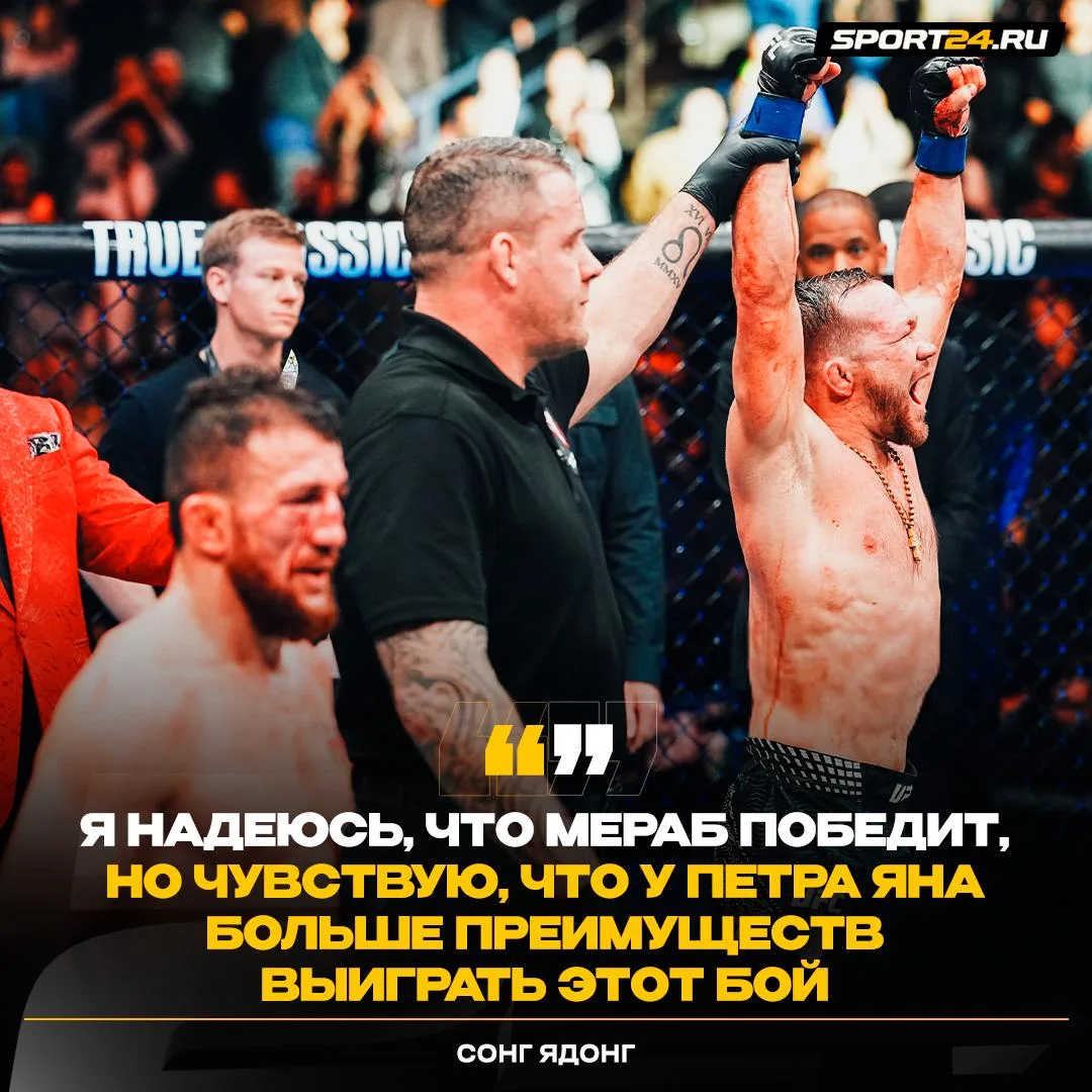Прогноз Ядонга на бой Петра и Мераба 👀