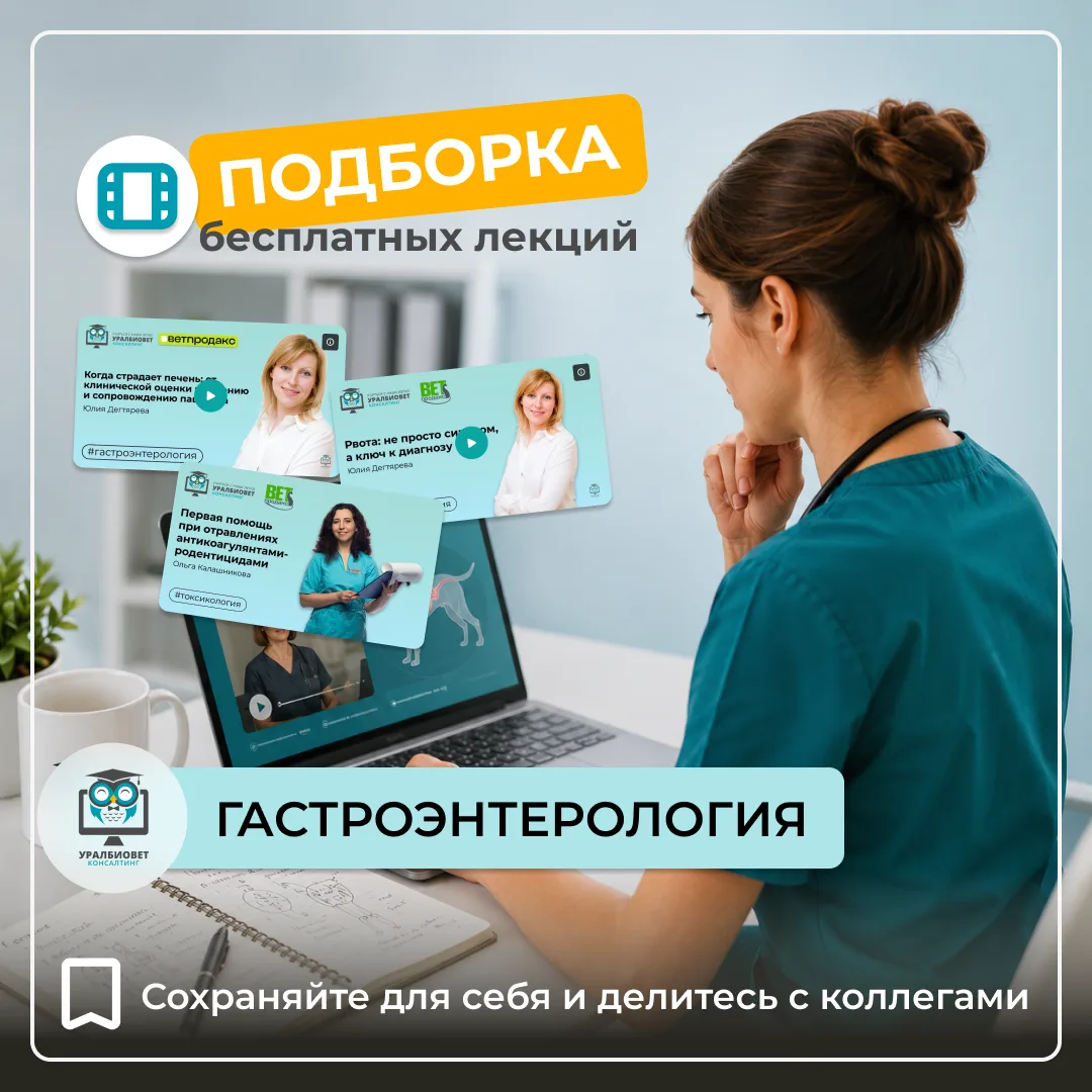🩺 Когда говорят про гастроэнтерологию, многие представляют пациента с рвотой или диареей.
Но на пра