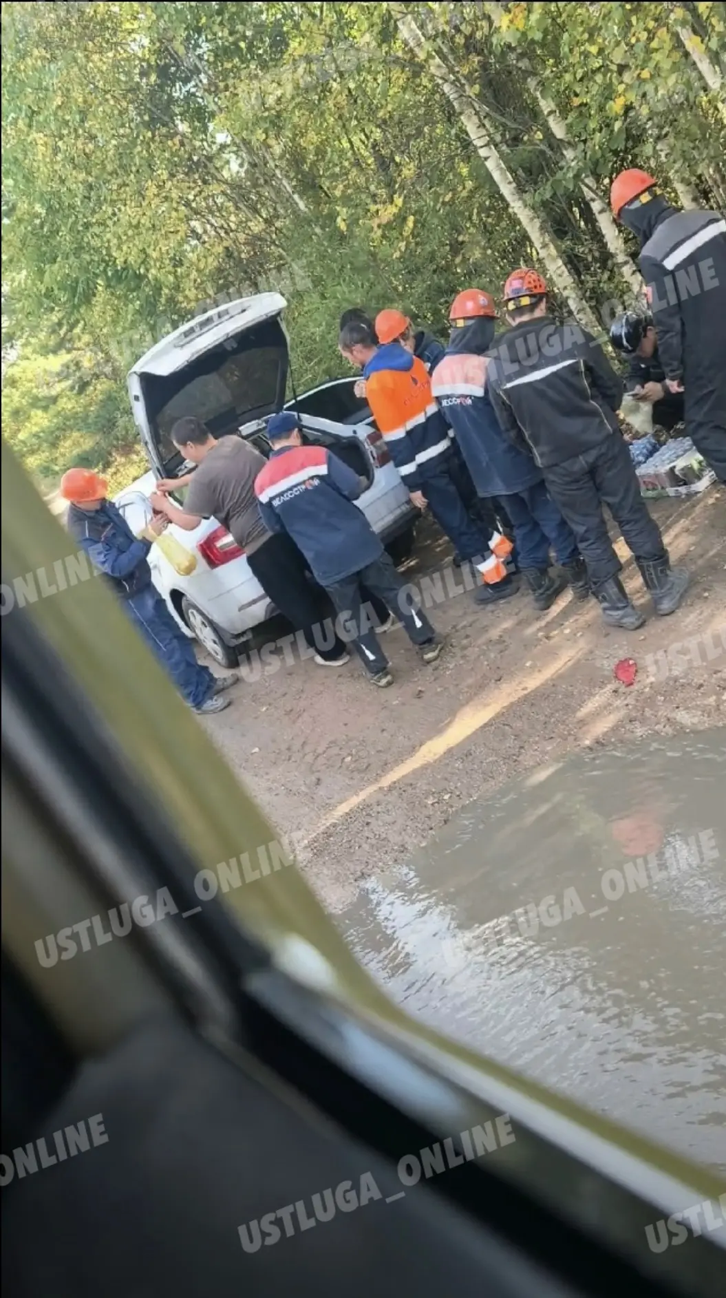 Лес около ЮГ-2 😳 Приезжает две машины с продуктами питания продают рабочим , они тут ж...