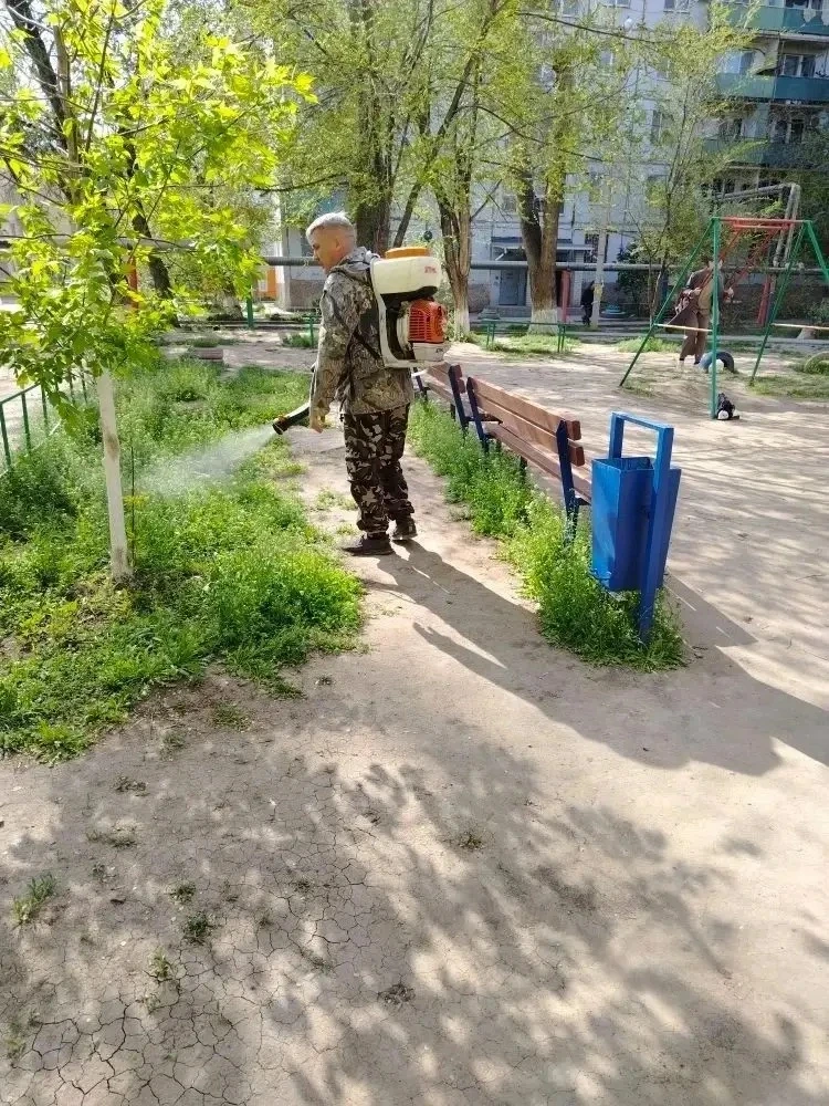 К новости «🛡️ Двойной эффект: порядок и чистота во дворе!»