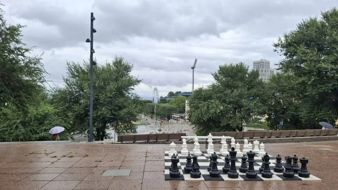♟️ Во Владивостоке обокрали павильон «Семь сопок»: унесли шахматные фигуры коня и короля