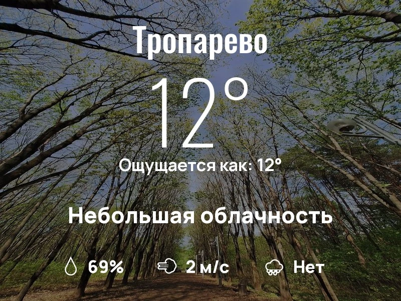 Что с погодой в Тропарево?