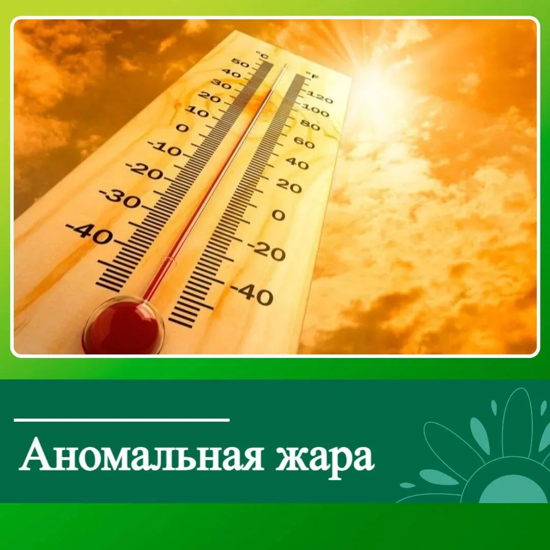 ☀️ Внимание, жители Ключевского района!

По данным Алтайского ЦГМС, с 29 июля по 5 августа в Алтайск