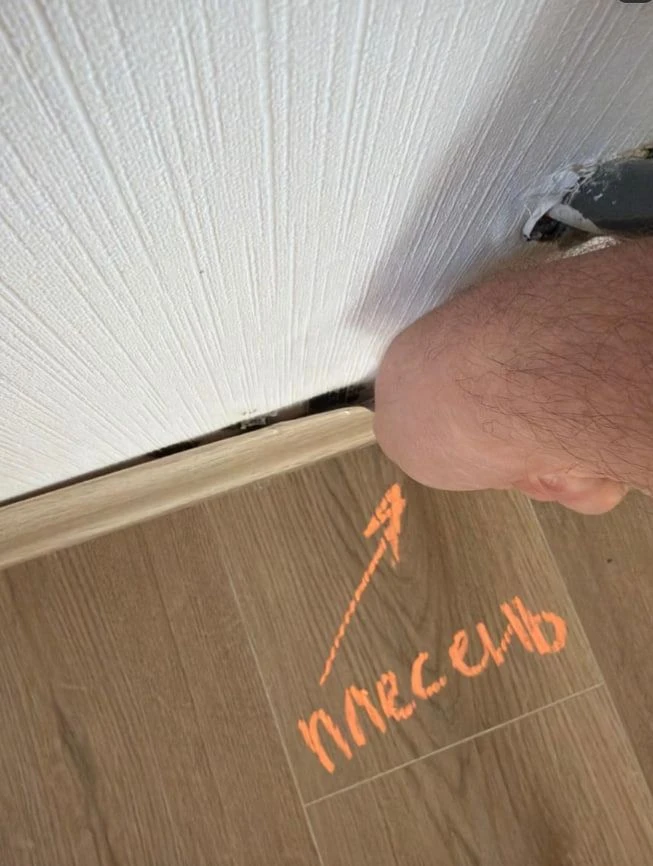 Приёмка двух квартир в ЖК «1-й Южный»