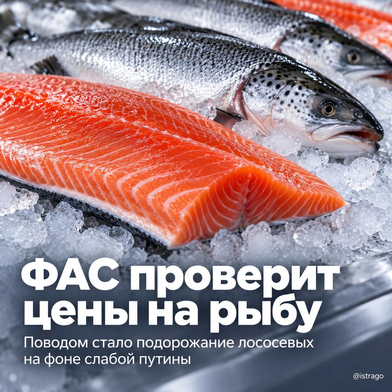 ФАС проверит цены на рыбу после подорожания лососевых