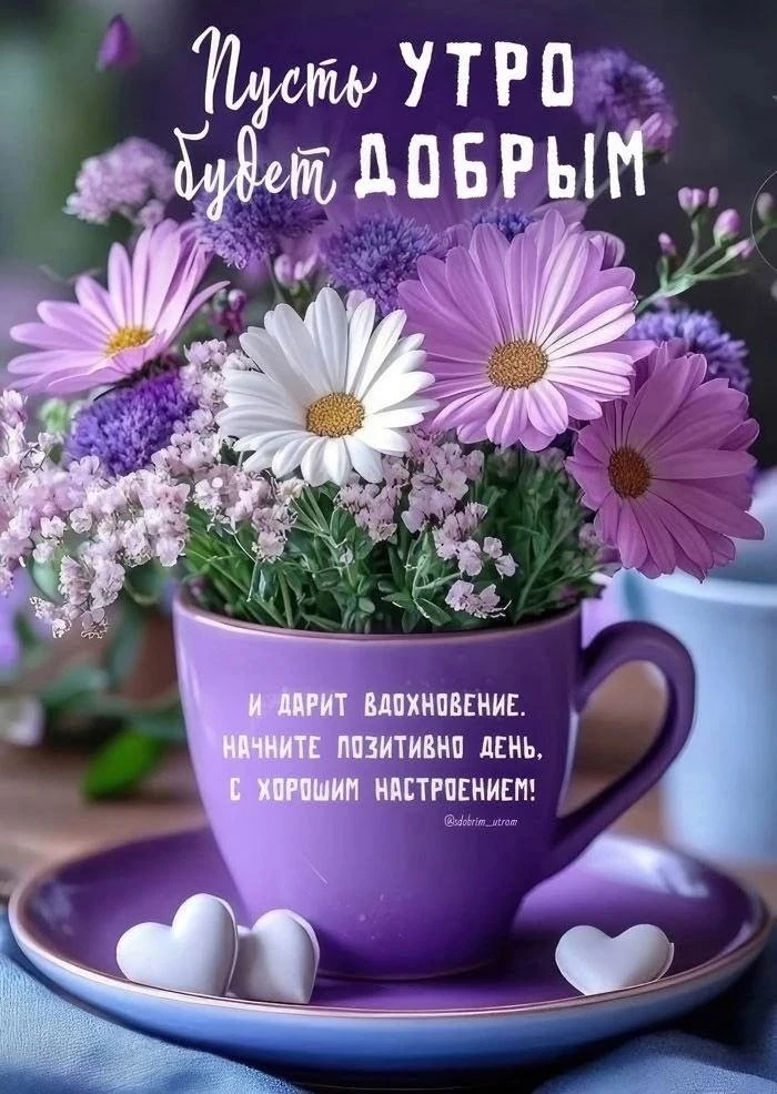 🍃💜🍃💜🍃
Пусть день начнётся с чего-то хорошего. А закончится чем-то замечательным!  
 
Самого доб