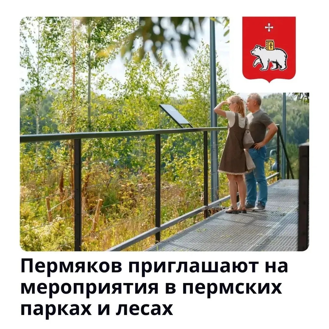 Меняем городскую суету на пермскую природу
 
На этой неделе пермский проект «Зеленое кольцо», городс
