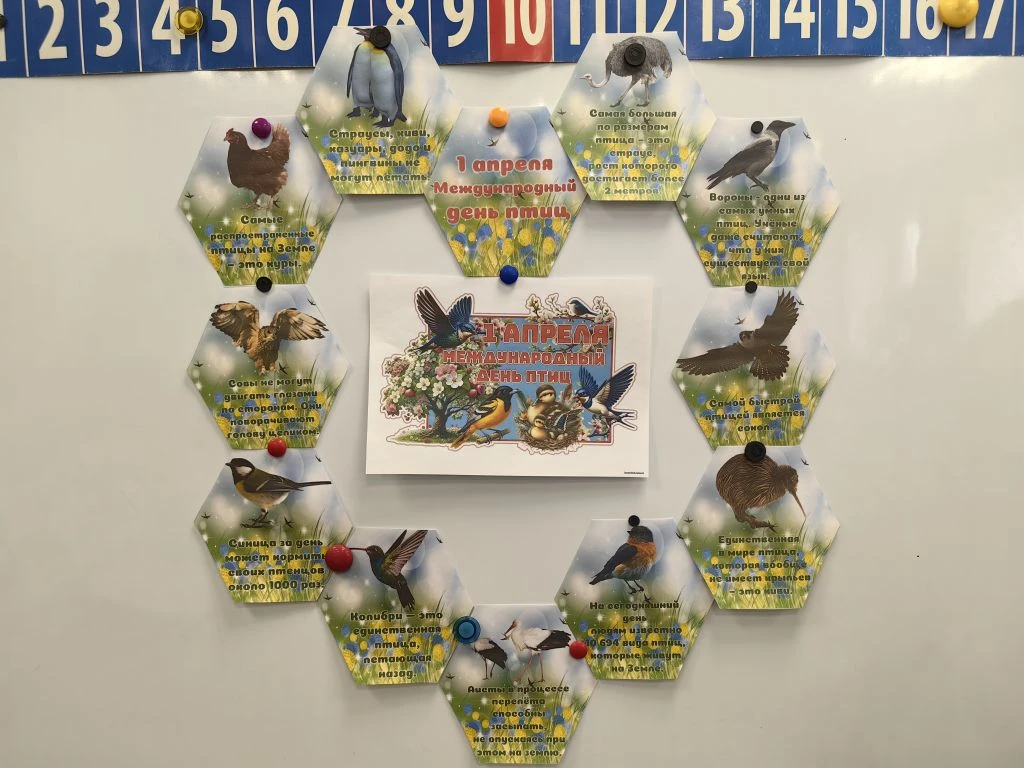 🐦🐧 1 апреля — Международный день птиц! 🐦🐧