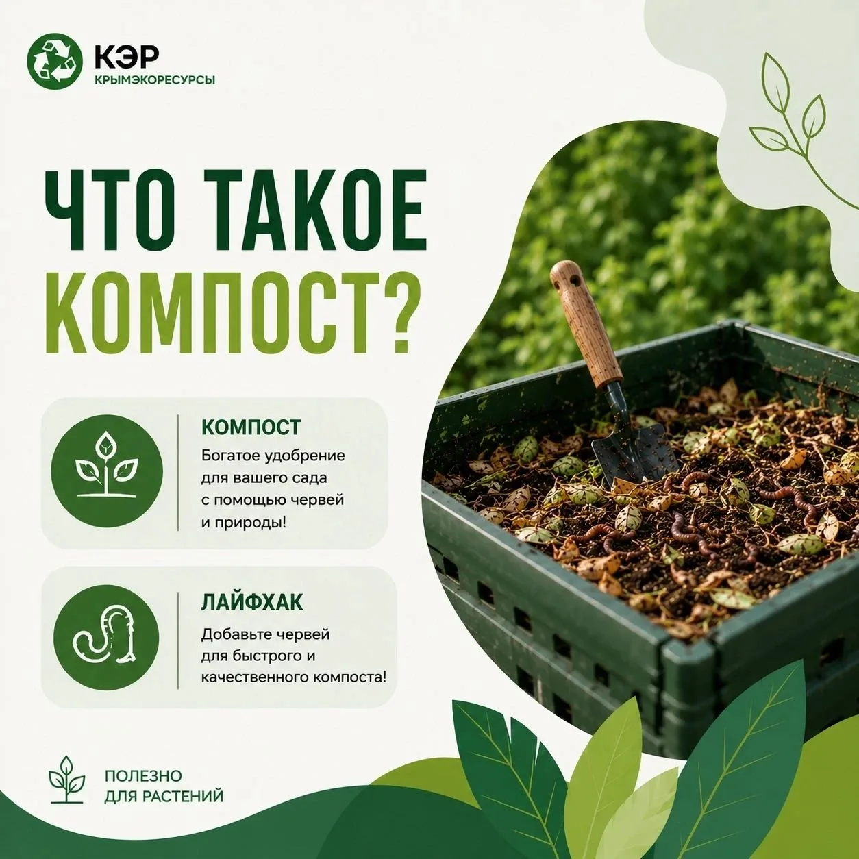 🌿 Что такое компост?