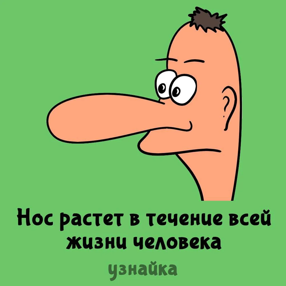Это определенно минус🤥
