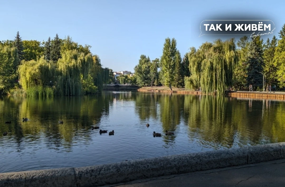 🌳Обновленный Горпарк спустя 3 месяца реконструкции глазами Ольги Распариной