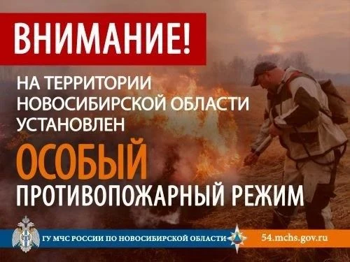 На всей территории Новосибирской области установлен особый противопожарный режим Из-за ...