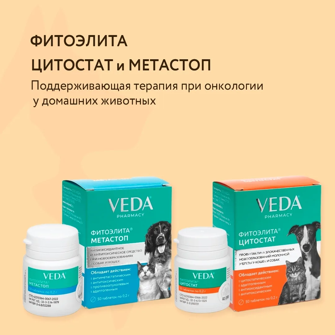 Фитотерапия для профилактики новообразований у кошек и собак🐾

На данный момент самым эффективным м