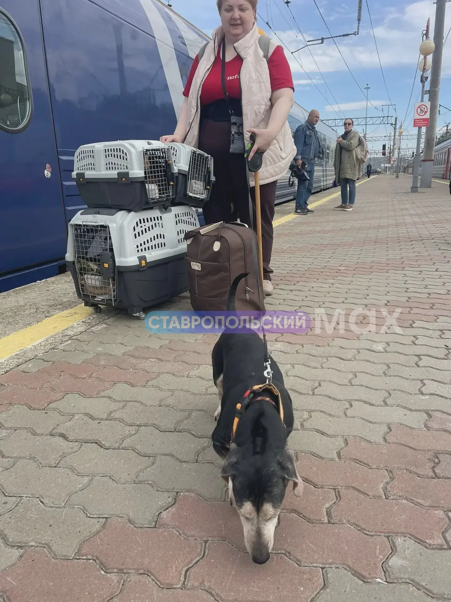 Из Москвы на Ставрополье — новый ежедневный поезд