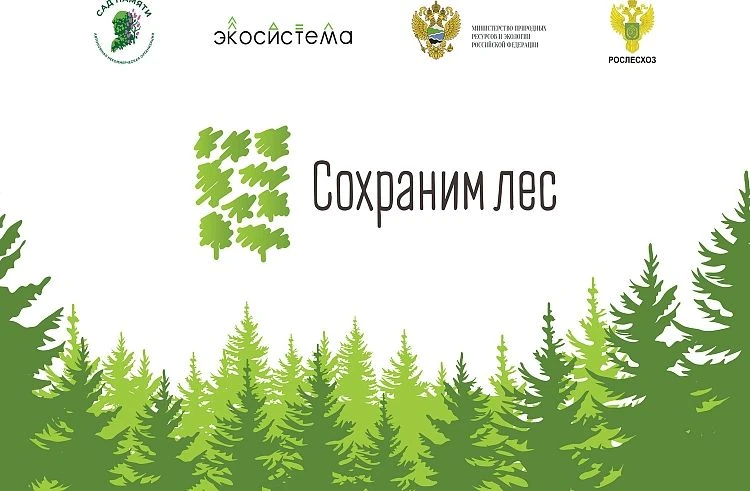 Восстановим леса вместе: старт Всероссийской акции «Сохраним лес»