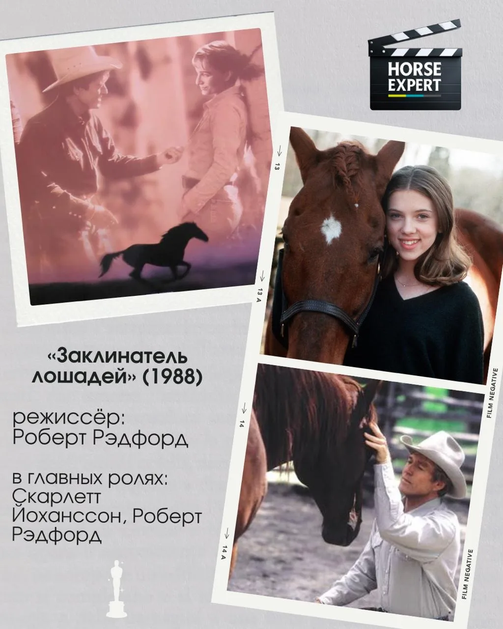 15 марта в Голливуде состоялась 98-я церемония вручения премии «Оскар». Horse Expert вс...