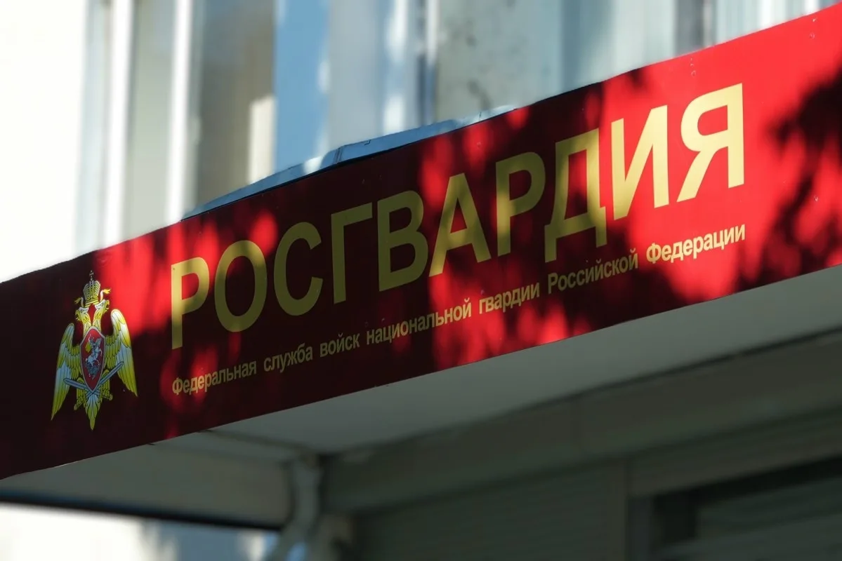 Аресты и изъятия оружия в Поморье ⚡
