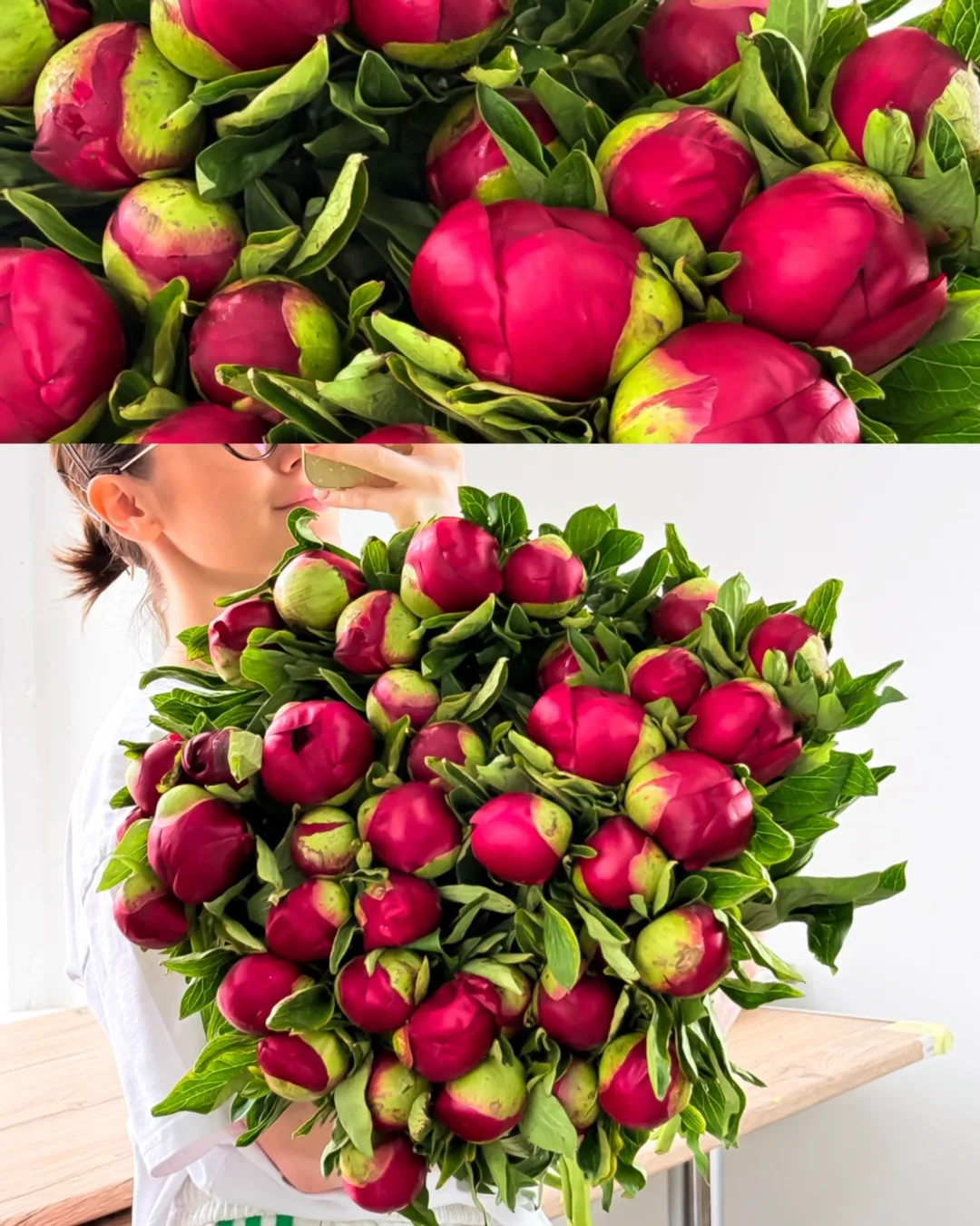 💞ПИОНЫ💘ПИОНЫ 💘ПИОНЫ 💘