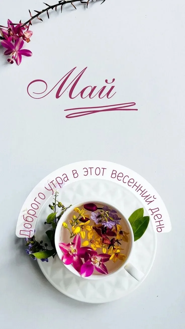 Доброе утро🌺