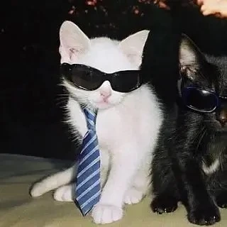 ❤️ - поставим
🖤 - мне не нравится