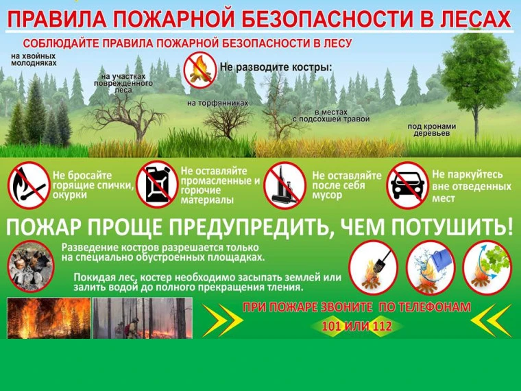 Уважаемые отдыхающие и посетители лесных массивов!