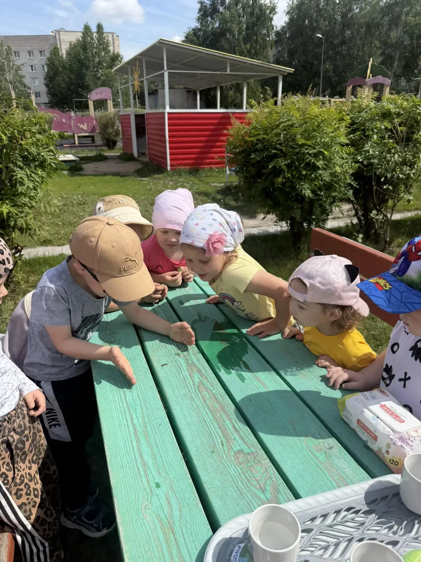 🌿А ребята из группы "Ромашка" наблюдали сегодня за гусеницей🐛🐛🐛
