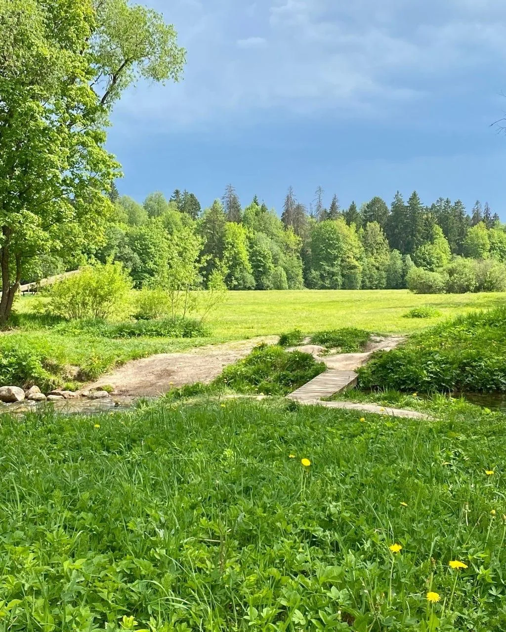 🌳Парк усадьбы Демидовых «Тайцы»

Усадебный парк «Тайцы» — памятник садово-паркового искусства XVIII