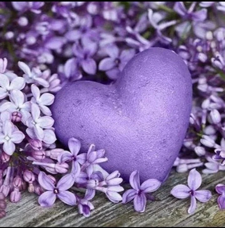 Подборка интересных и познавательных каналов🥰