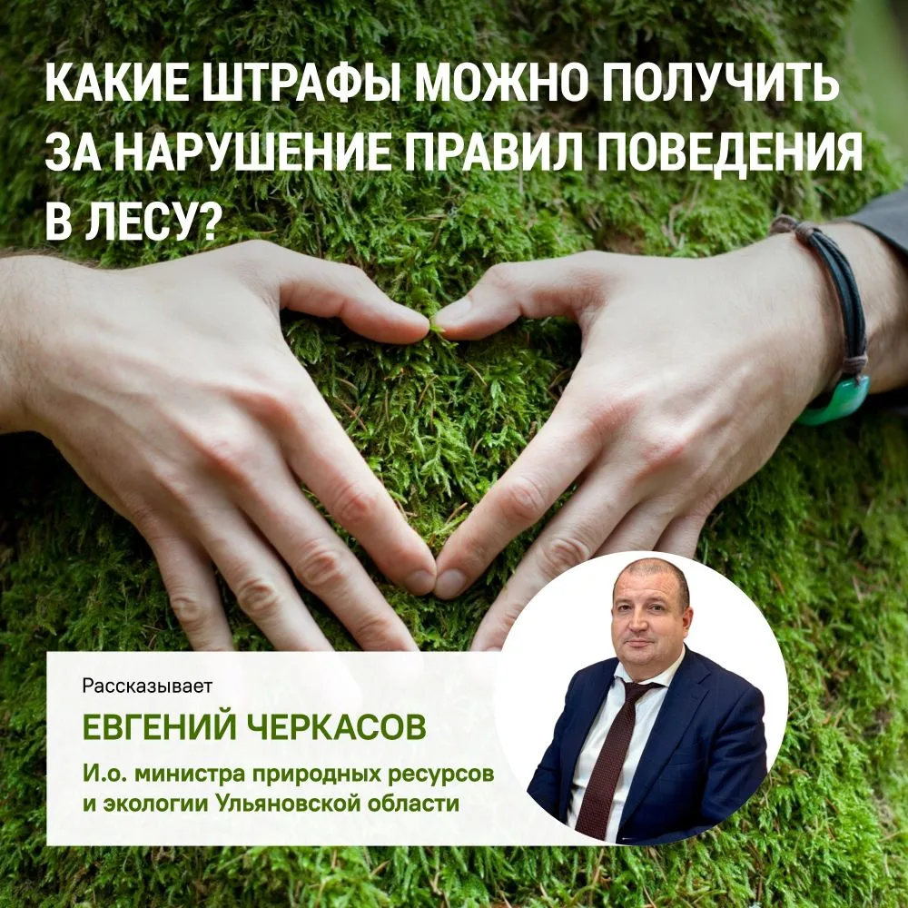 💚 Бережное отношение к лесу начинается с соблюдения простых, но очень важных правил: н...