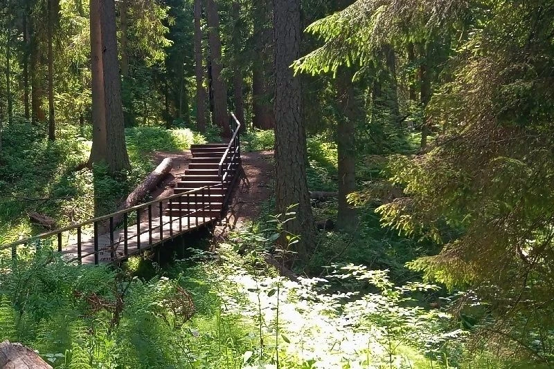 🌿 Медленный туризм – тренд этого лета!
 
Иногда очень хочется отдохнуть от потока информации и собы