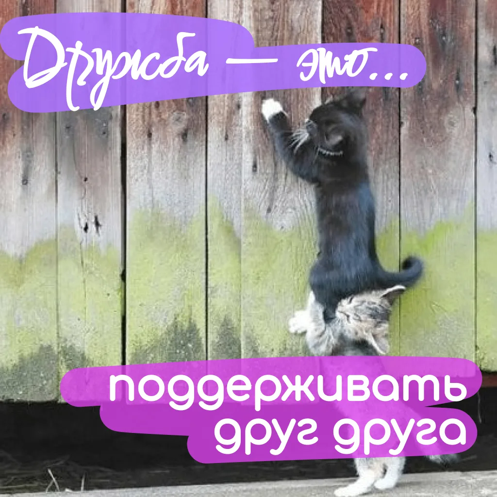 Сегодня День дружбы!

Я поздравляю тебя, а ты не забудь поздравить своих ЛПшек и лучших бро ❤️