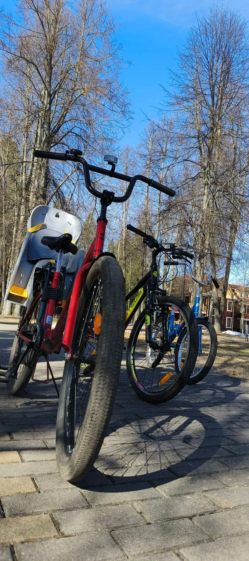 🚴‍♂️ Велосезон в ОК "Тетьково" открыт!