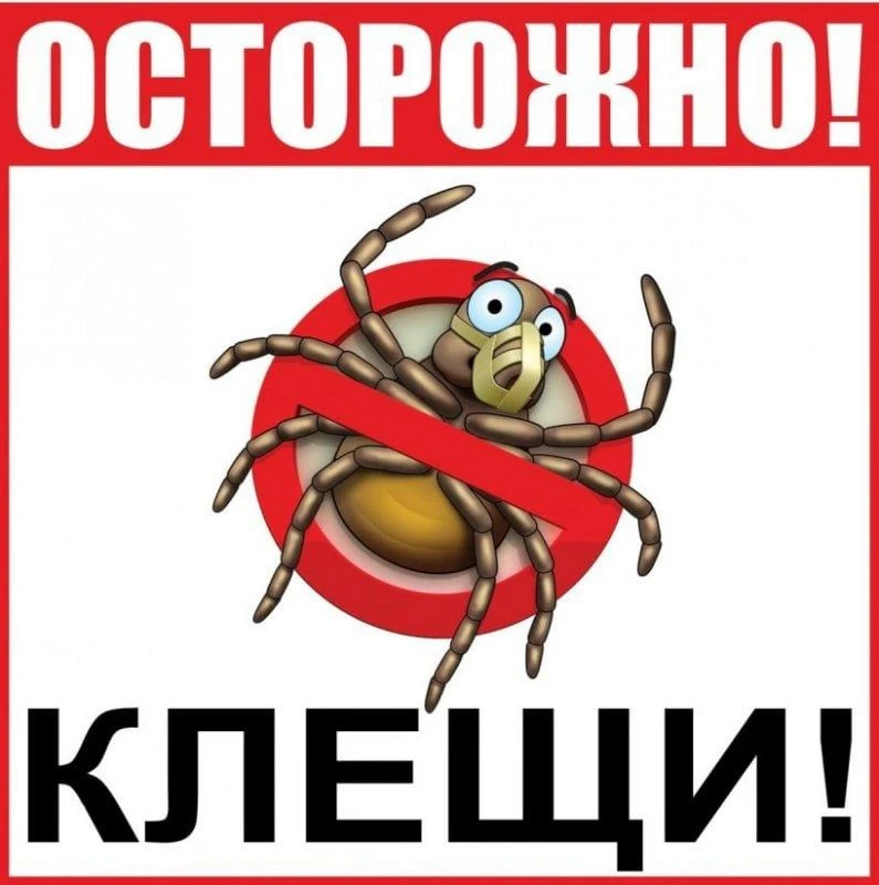 Информация об укусах клещами.