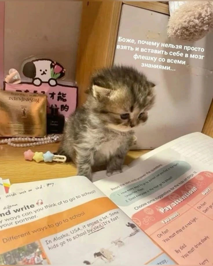 С чего начать подготовку к экзаменам, если первый месяц учёбы прошёл на вайбах чила и р...